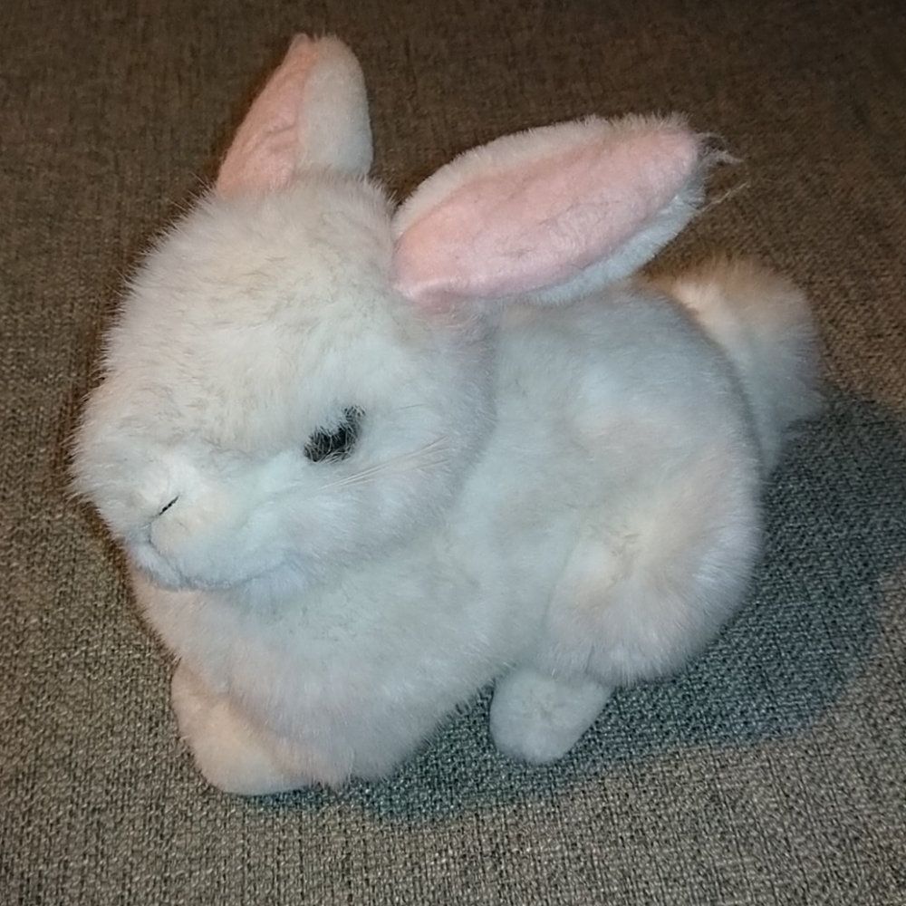 Chosun White Rabbit
